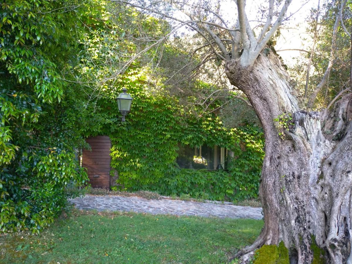 L'Agnata di De André Boutique Hotel Tempio Pausania Exterior foto